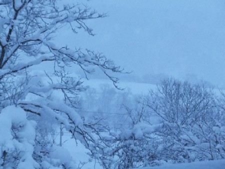2012.0210雪景色DSCF2187.jpg