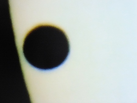 2012.0606太陽のほくろDSCF4040.jpg